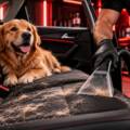 How to Remove Pet Hair From Car: Easy and Effective Methods